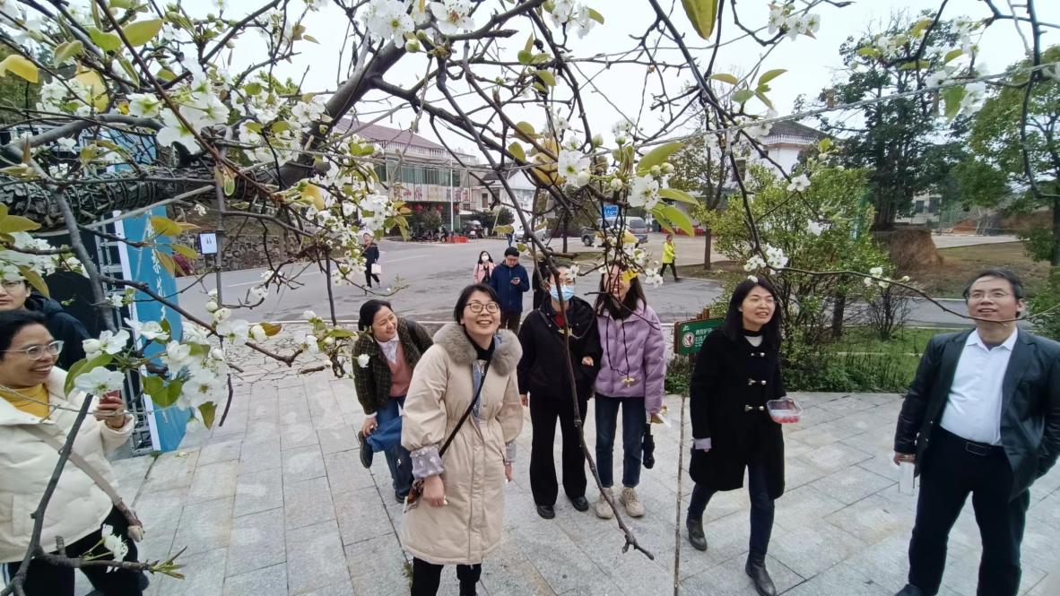 PA视讯平台